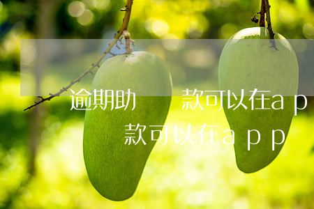 逾期助學貸款可以在app償還嗎-逾期助學貸款可以在app償還嗎安全嗎