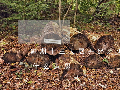 逾期十三天展开经济调查(逾期后经济调查是什么意思)