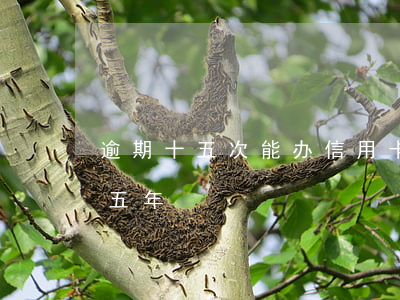 逾期十五次能办信用卡吗(三十万信用卡逾期五年)