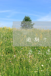 逾期十几天还能用信用卡吗(信用卡逾期几天还上还能用吗)