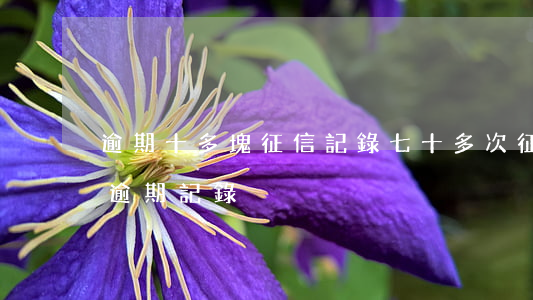 逾期十多塊征信記錄七十多次 征信有十幾次逾期記錄