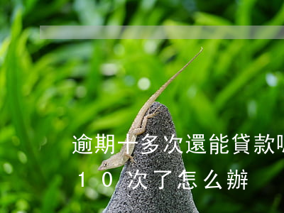逾期十多次還能貸款嗎(當(dāng)逾期10次了怎么辦)