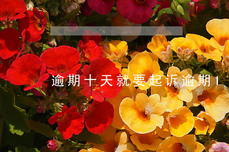 逾期十天就要起诉(逾期10多天)