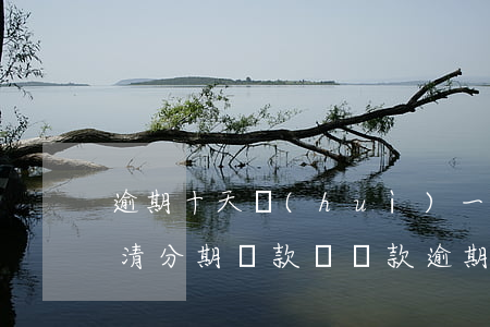 逾期十天會(huì)一次性結(jié)清分期賬款嗎(貸款逾期強(qiáng)制一次性結(jié)清)