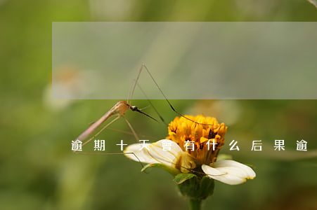逾期十天會有什么后果(逾期10天怎么辦)