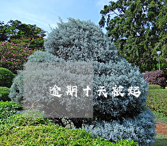 逾期十天被起訴