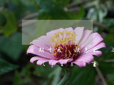 逾期十天還款怎么辦(逾期十來(lái)天嚴(yán)重嗎)