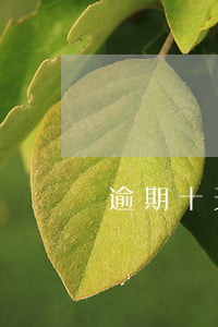 逾期十天還款有什么問題(逾期十多天)