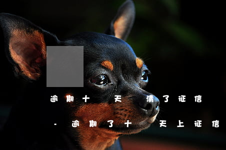 逾期十幾天還清了征信會(huì)變好嗎-逾期了十幾天上征信了嗎?