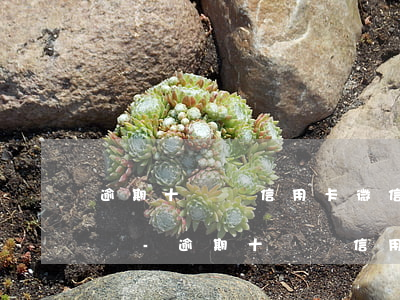 逾期十幾萬信用卡微信會被凍結(jié)嗎-逾期十幾萬信用卡微信會被凍結(jié)嗎知乎
