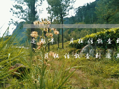 逾期半個月征信能查到逾期記錄嗎-逾期半個月征信能查到逾期記錄嗎怎么辦