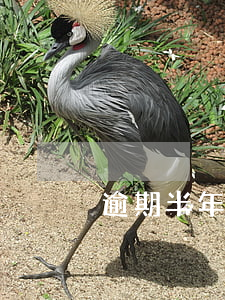 逾期半年不交房(房子逾期半年未交房能退嗎)