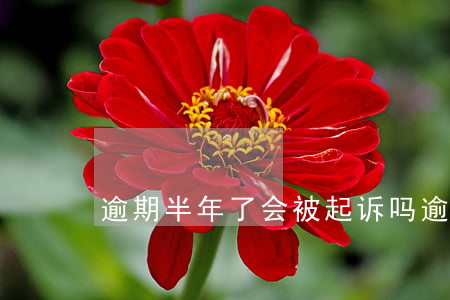逾期半年了会被起诉吗(逾期会被法院起诉吗)