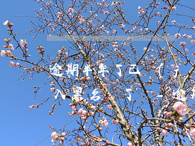 逾期半年了已經(jīng)進(jìn)入黑名單了嗎-逾期半年了已經(jīng)進(jìn)入黑名單了嗎怎么辦