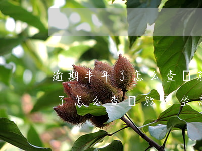 逾期半年了怎么查詢能否坐高鐵-逾期半年了怎么查詢能否坐高鐵呢