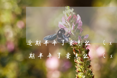 逾期半年了要怎么協(xié)商還款-逾期半年了要怎么協(xié)商還款