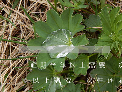 逾期半年以上需要一次性还清吗-逾期半年以上需要一次性还清吗