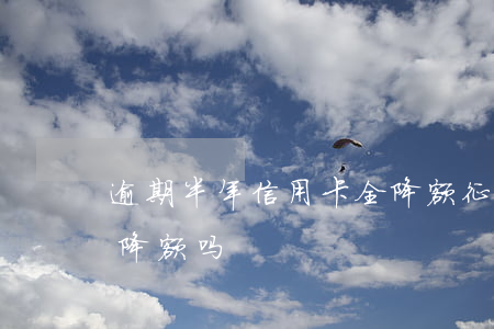 逾期半年信用卡全降额(征信逾期了信用卡会降额吗)