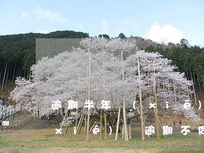 逾期半年協(xié)商還款如何簽訂協(xié)議(逾期不同意協(xié)商還款怎么辦)