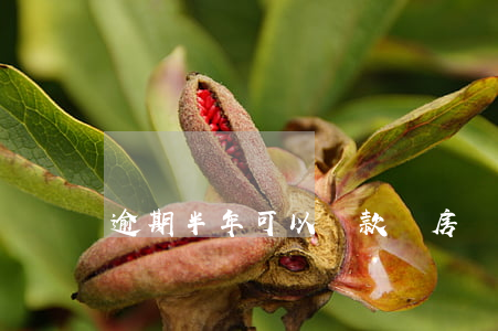 逾期半年可以貸款買房嗎