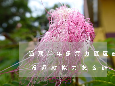 逾期半年多無力償還被起訴(逾期被起訴,暫時沒還款能力怎么辦)