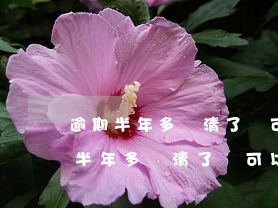 逾期半年多還清了還可以再銀行貸款?-逾期半年多還清了還可以再銀行貸款買房嗎