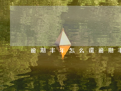 逾期半年怎么還(逾期半年了怎么辦)