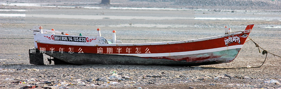 逾期半年怎么還(逾期半年怎么還)
