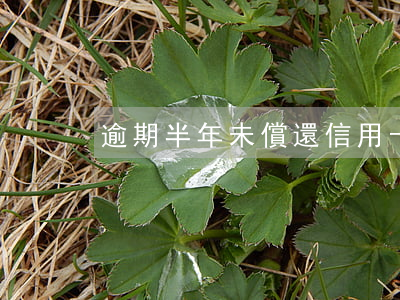 逾期半年未償還信用卡