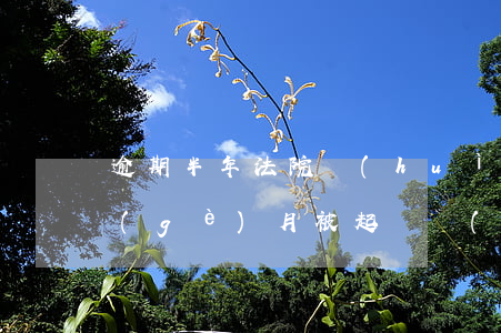 逾期半年法院會(huì)起訴嗎(逾期半個(gè)月被起訴會(huì)怎么樣)
