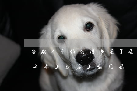 逾期半年的信用卡还了还能用吗(信用卡逾期半年还款后还能用吗)