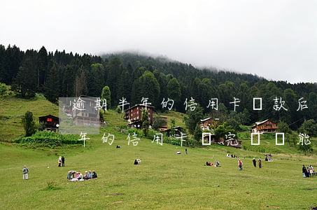 逾期半年的信用卡還款后還能用嗎-逾期半年的信用卡還完錢還能用嗎