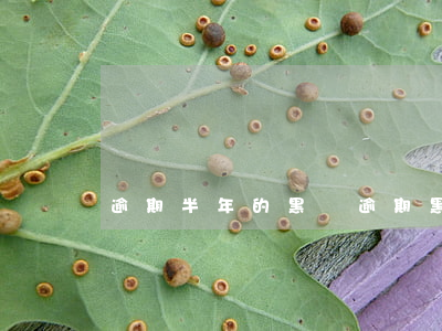 逾期半年的黑戶(逾期黑戶幾年消除)