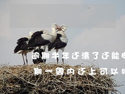 逾期半年还清了还能申请信用卡吗（信用卡逾期一周内还上可以吗）
