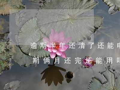 逾期半年还清了还能申请信用卡吗（信用卡逾期俩月还完还能用吗）