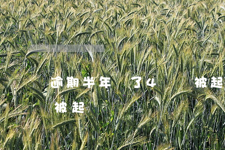逾期半年還了4萬會被起訴嗎(逾期三萬多會被起訴嗎)