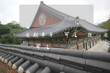 逾期半年還可以還款嗎(逾期半年后還清貸款還可以貸嗎)
