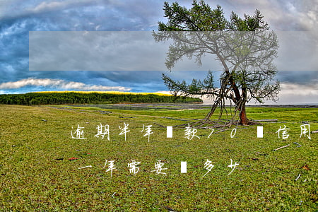 逾期半年還款70萬(信用卡欠7000逾期一年需要還多少)