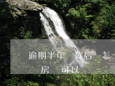 逾期半年還款后會怎樣(逾期半年還清 然后申請房貸可以嗎)