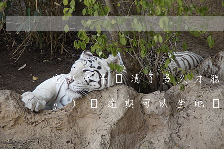 逾期半年還清了多久才能坐地鐵(網(wǎng)貸逾期可以坐地鐵嗎)