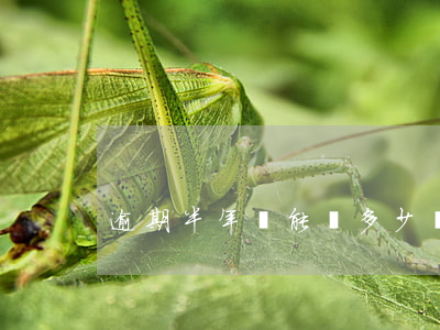 逾期半年還能貸多少萬(逾期半年有什么影響)