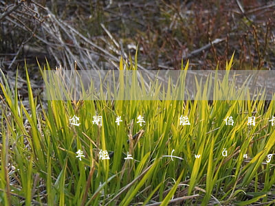 逾期半年還能辦信用卡嗎（交通信用卡逾期半年能上網(wǎng)嗎）
