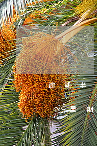 逾期半月归还信用卡款(忘记还信用卡逾期一个星期怎么办)