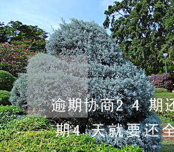 逾期协商24期还款可以提前吗(协商还款逾期4天就要还全款)