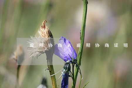 逾期协商表 逾期协商证明