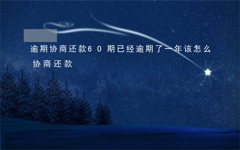 逾期协商还款60期(已经逾期了一年该怎么协商还款)