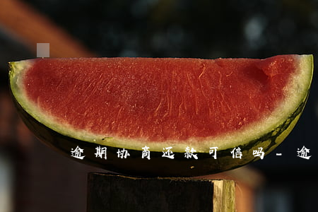 逾期协商还款可信吗-逾期协商是真的吗