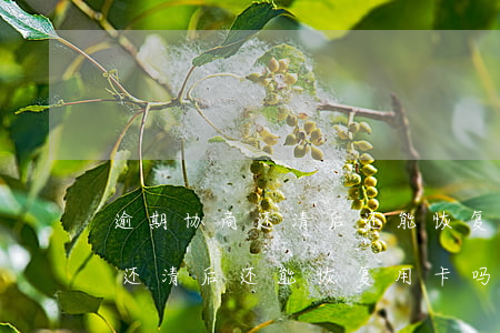 逾期协商还清后还能恢复用卡吗-逾期协商还清后还能恢复用卡吗