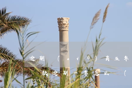 逾期協(xié)商五年60個(gè)月還款 逾期一年怎么協(xié)商
