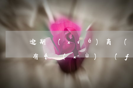 逾期協(xié)商個(gè)性化分期還有手續(xù)費(fèi)嗎?(協(xié)商個(gè)性化分期影響征信嗎)